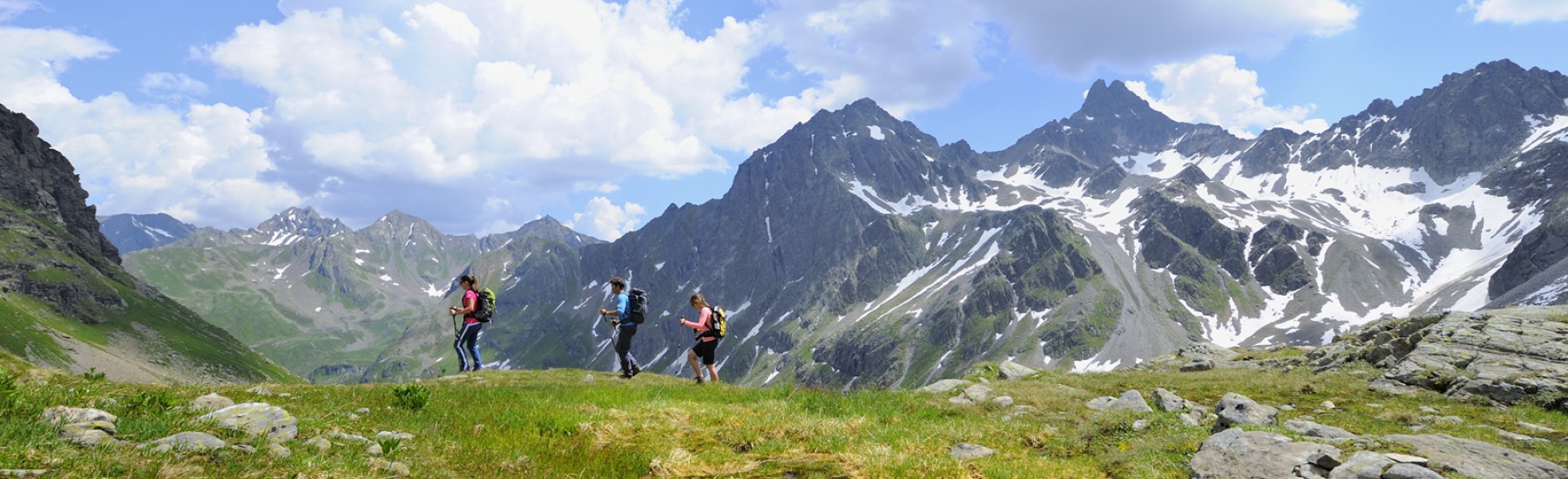 Wandelen in de zomer